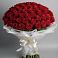 Букет 101 Красная роза Блэк Мэджик в Майртупе