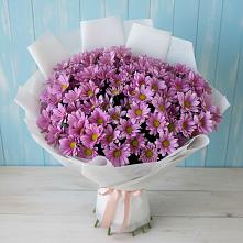 Букет цветов из:  Хризантемы в Майртупе