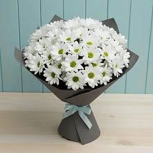 Букет цветов из:  Хризантемы #REPLACE_PRED# Майртупе