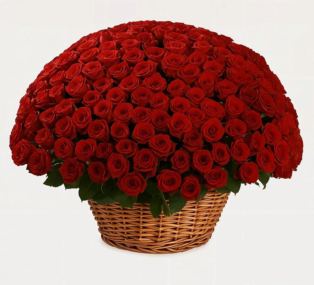 Премиум букет из: Розы в Майртупе