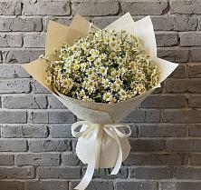 Букет цветов из:  Ромашки в Майртупе