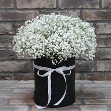 Цветочная композиция из Гипсофила в шляпной коробке в Майртупе