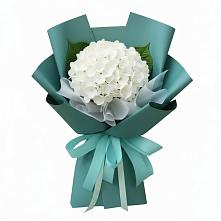 Букет цветов из:  Гортензия в Майртупе
